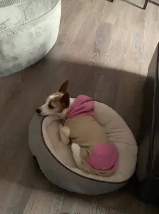 KK