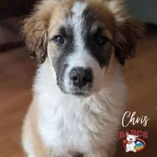 Chris