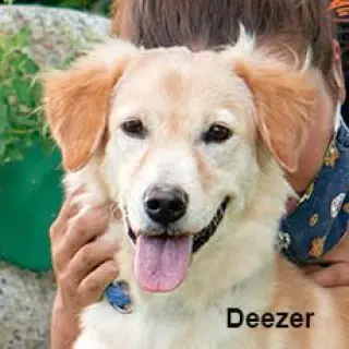 Deezer