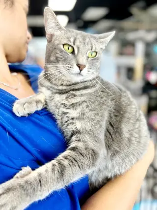Milena