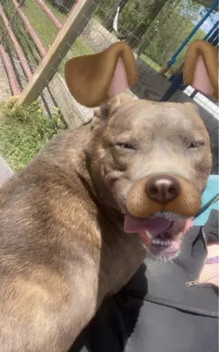Rigby