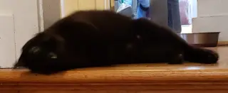 Roada