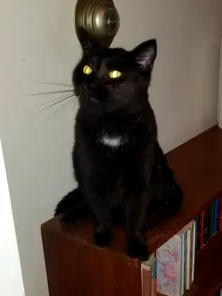 Roada