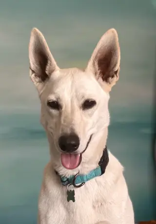 Gracie Mae