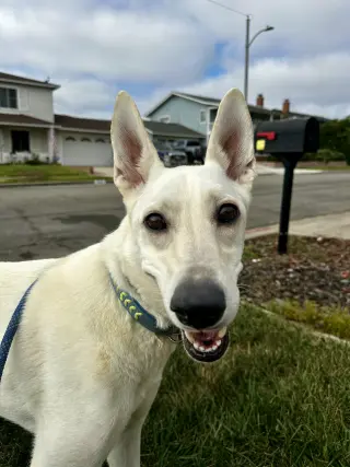 Gracie Mae