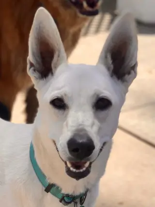 Gracie Mae