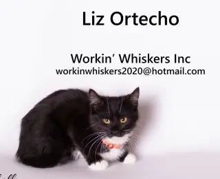 LIZ ORTECHO