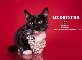 LIZ ORTECHO