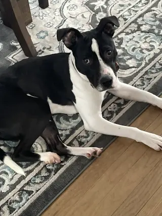 Kane