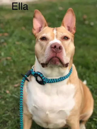 Ella