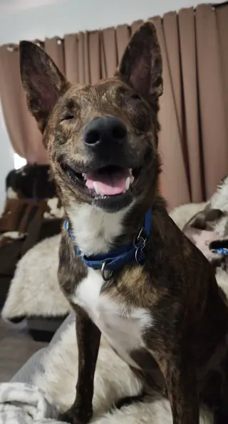 Jack
