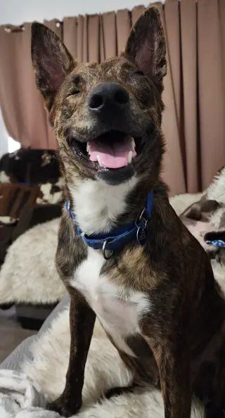 Jack