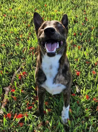Jack