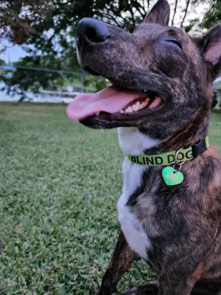 Jack