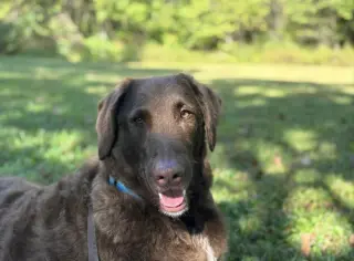 Murphy