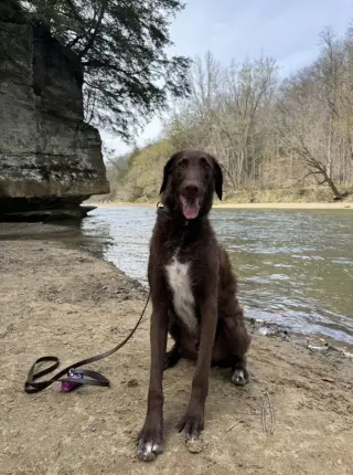 Murphy