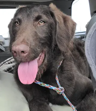 Murphy