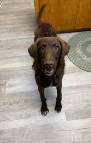 Murphy