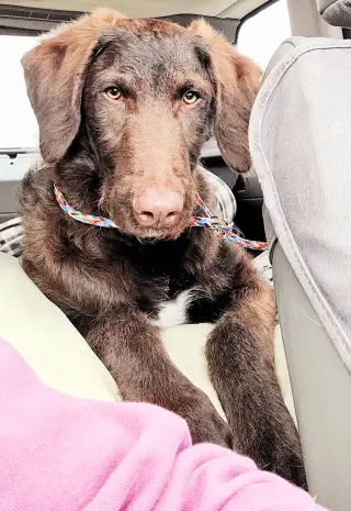 Murphy