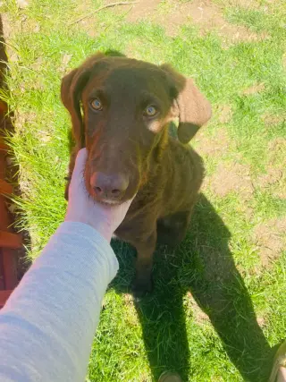 Murphy