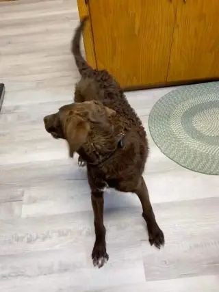 Murphy