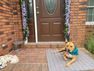 Claus
