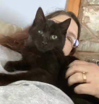 Flap Jack (In Foster)