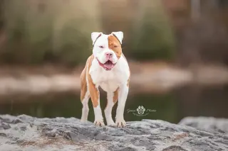 Karma
