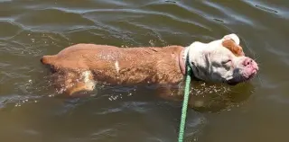 Karma