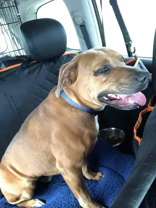 Leo- Sebastian