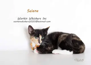 SELENA