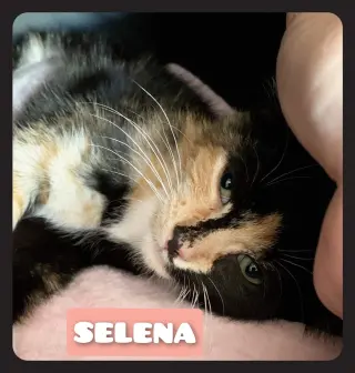 SELENA