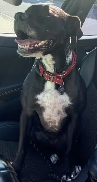 Rosie