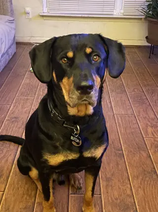 Butch