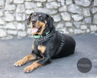Butch
