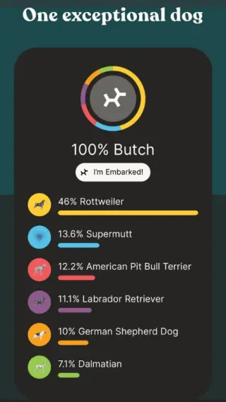 Butch