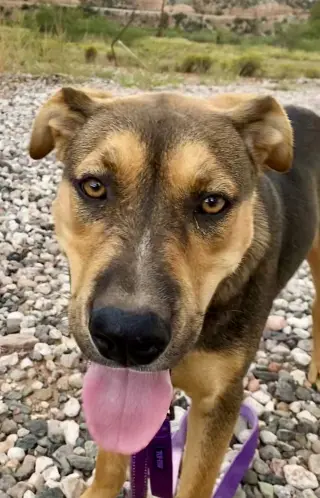 Benson
