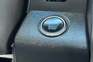 Ford F-150 2019 4x4 Raptor 4p SuperCrew 5.5 ft. CB