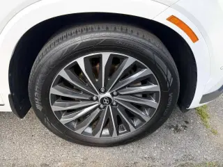 Hyundai PALISADE 2024 AWD Calligraphy 4p SUV