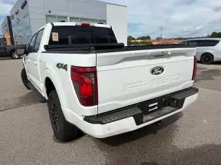 Ford F-150 2024 4x4 XLT 4dr SuperCrew 6.5 ft. SB