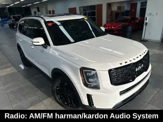 Kia Telluride 2022 TRACCIÓN EN TODAS LAS RUEDAS SX 4p SUV