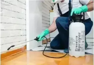 PIÑAS PEST CONTROL🦟🐀🐛