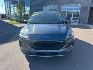 Ford Escape 2020 4x4 SE 4p SUV