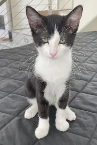 Flopsy