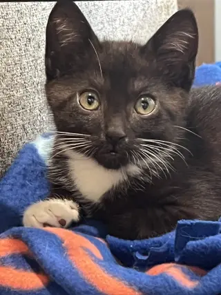 Mocha Nagle (and Puma)