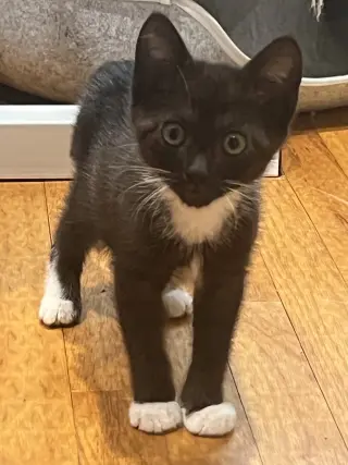 Mocha Nagle (and Puma)