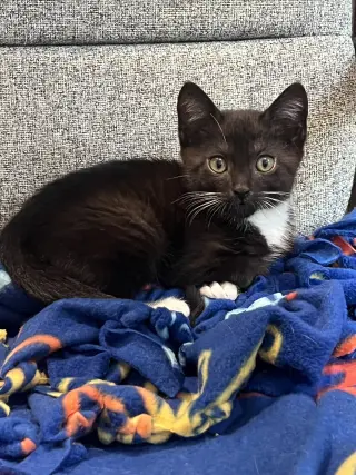 Mocha Nagle (and Puma)