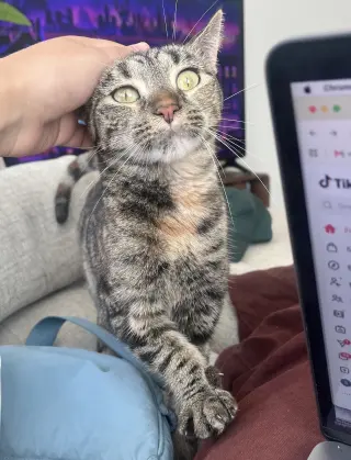Tuna