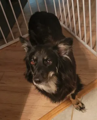 Matilda