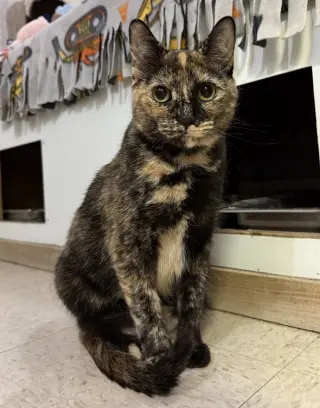 Cayenne (bonded to Paprika)